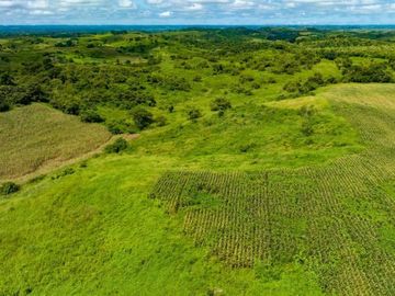 Terreno de venta de 105 hectareas Isidro Ayora