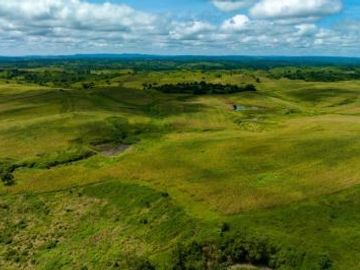 Terreno de venta de 105 hectareas Isidro Ayora