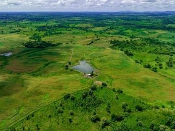 Terreno de venta de 105 hectareas Isidro Ayora