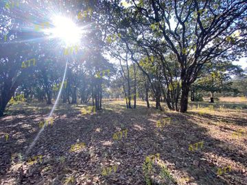 TERRENO EN VENTA SIERRA DE LOBOS