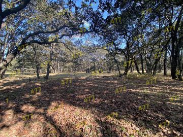TERRENO EN VENTA SIERRA DE LOBOS