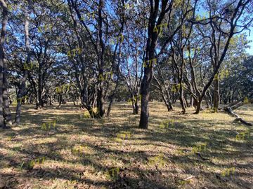 TERRENO EN VENTA SIERRA DE LOBOS