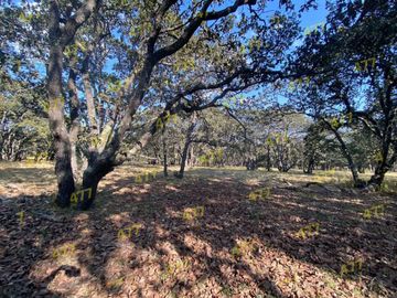 TERRENO EN VENTA SIERRA DE LOBOS