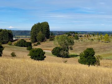 ¡Espectacular campito con casa a 10 minutos de La Unión! Antes UF16920 Ahora UF13422
