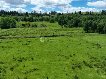 CAMPO DE OPORTUNIDAD CERCANO PUERTO NUEVO (LAGO RANCO)