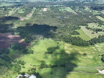CAMPO DE OPORTUNIDAD CERCANO PUERTO NUEVO (LAGO RANCO)