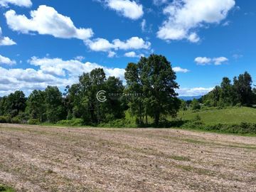 CAMPO DE OPORTUNIDAD CERCANO PUERTO NUEVO (LAGO RANCO)