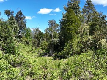 CAMPO DE OPORTUNIDAD CERCANO PUERTO NUEVO (LAGO RANCO)
