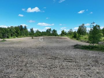 CAMPO DE OPORTUNIDAD CERCANO PUERTO NUEVO (LAGO RANCO)