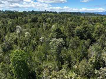 CAMPO DE OPORTUNIDAD CERCANO PUERTO NUEVO (LAGO RANCO)