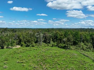 CAMPO DE OPORTUNIDAD CERCANO PUERTO NUEVO (LAGO RANCO)