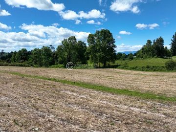 CAMPO DE OPORTUNIDAD CERCANO PUERTO NUEVO (LAGO RANCO)