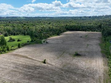 CAMPO DE OPORTUNIDAD CERCANO PUERTO NUEVO (LAGO RANCO)
