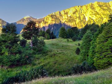 Campo entre Coyhaique y Puerto Aysén con impresionante vista panorámica