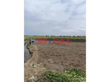 🚜 TERRENO AGRICOLA EN VENTA DE 40,353.6 m² EN SANTA ROSA - CAÑETE.