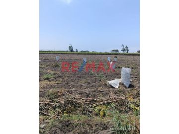 🚜 TERRENO AGRICOLA EN VENTA DE 40,353.6 m² EN SANTA ROSA - CAÑETE.