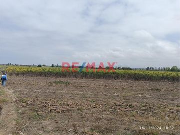 🚜 TERRENO AGRICOLA EN VENTA DE 40,353.6 m² EN SANTA ROSA - CAÑETE.