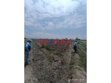🚜 TERRENO AGRICOLA EN VENTA DE 40,353.6 m² EN SANTA ROSA - CAÑETE.
