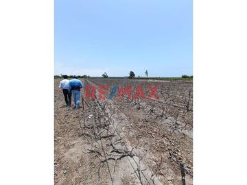 🚜 TERRENO AGRICOLA EN VENTA DE 40,353.6 m² EN SANTA ROSA - CAÑETE.