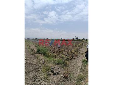 🚜 TERRENO AGRICOLA EN VENTA DE 40,353.6 m² EN SANTA ROSA - CAÑETE.