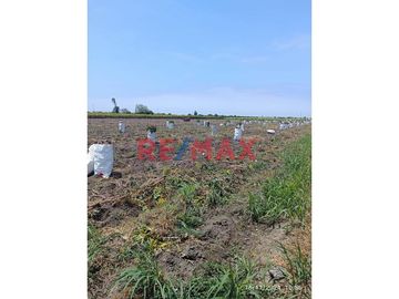 🚜 TERRENO AGRICOLA EN VENTA DE 40,353.6 m² EN SANTA ROSA - CAÑETE.