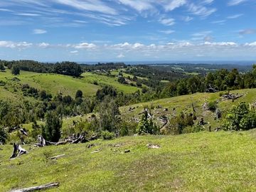Campo a una hora de Puerto Varas de 8,6 hectáreas con hermosa vista