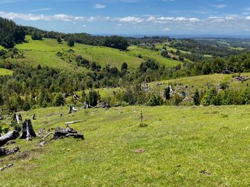 Campo a una hora de Puerto Varas de 8,6 hectáreas con hermosa vista