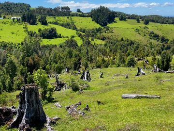 Campo a una hora de Puerto Varas de 8,6 hectáreas con hermosa vista