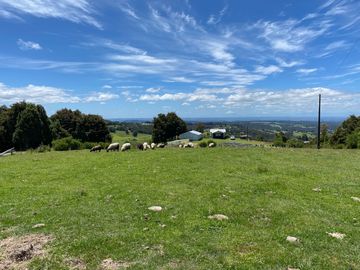 Campo a una hora de Puerto Varas de 8,6 hectáreas con hermosa vista
