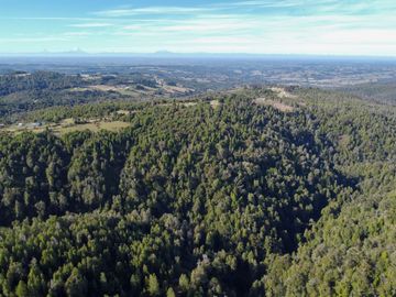 Campo de 40,6 hectáreas con todo lo necesario!