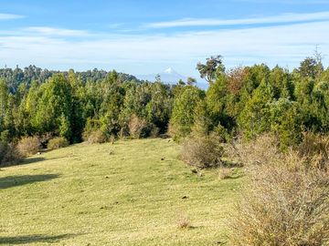 Campo de 40,6 hectáreas con todo lo necesario!