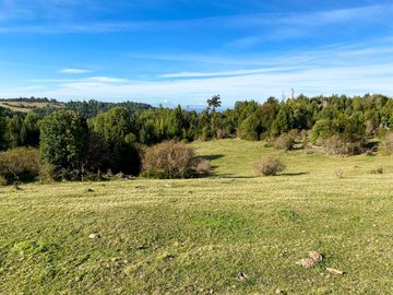 Campo de 40,6 hectáreas con todo lo necesario!