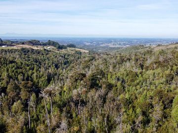 Campo de 40,6 hectáreas con todo lo necesario!