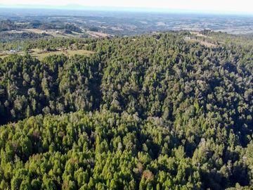 Campo de 40,6 hectáreas con todo lo necesario!