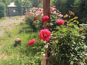 Nuevo precio! Venta casa 3D2B con cabaña 3D1B en sector Las Mariposas, Chillán