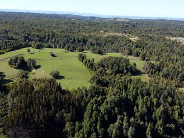 Campo en Fresia de 19,43 Hectáreas con Vivienda y Oportunidad Agrícola