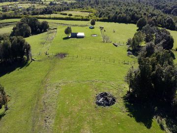 Campo en Fresia de 19,43 Hectáreas con Vivienda y Oportunidad Agrícola