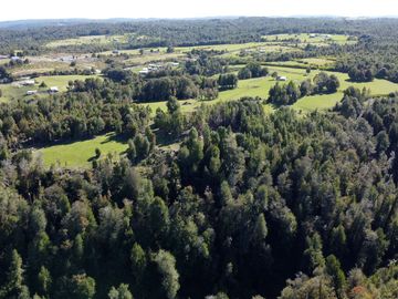 Campo en Fresia de 19,43 Hectáreas con Vivienda y Oportunidad Agrícola