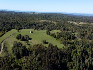 Campo en Fresia de 19,43 Hectáreas con Vivienda y Oportunidad Agrícola