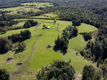 Campo en Fresia de 19,43 Hectáreas con Vivienda y Oportunidad Agrícola
