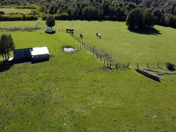Campo en Fresia de 19,43 Hectáreas con Vivienda y Oportunidad Agrícola