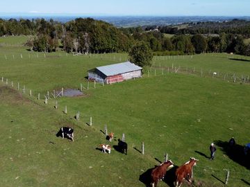 Campo en Fresia de 19,43 Hectáreas con Vivienda y Oportunidad Agrícola