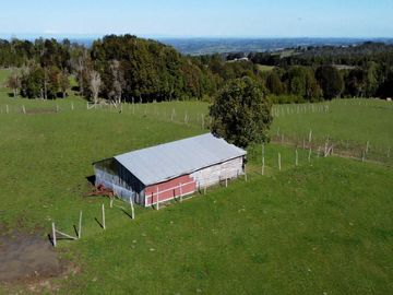 Campo en Fresia de 19,43 Hectáreas con Vivienda y Oportunidad Agrícola