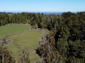 Campo en Fresia de 19,43 Hectáreas con Vivienda y Oportunidad Agrícola