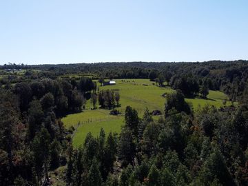 Campo en Fresia de 19,43 Hectáreas con Vivienda y Oportunidad Agrícola