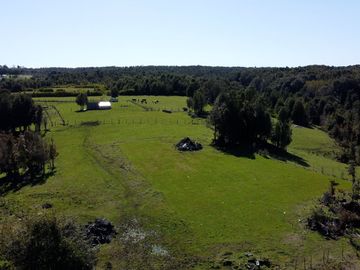 Campo en Fresia de 19,43 Hectáreas con Vivienda y Oportunidad Agrícola