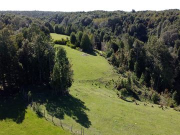 Campo en Fresia de 19,43 Hectáreas con Vivienda y Oportunidad Agrícola