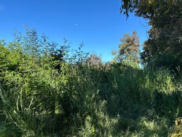 Venta parcelas Camino Las Mariposas Km 17,5 con orilla de Río Chillán