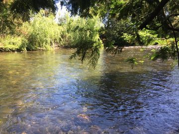 Venta parcelas Camino Las Mariposas Km 17,5 con orilla de Río Chillán