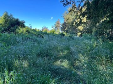Venta parcelas Camino Las Mariposas Km 17,5 con orilla de Río Chillán